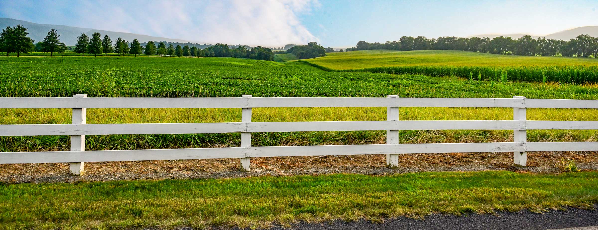 Welcome-Fence-DSC_8542